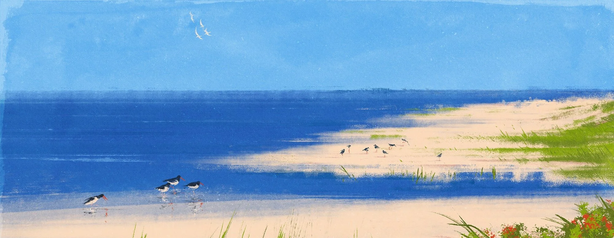 beach_klar_stor-min.jpg