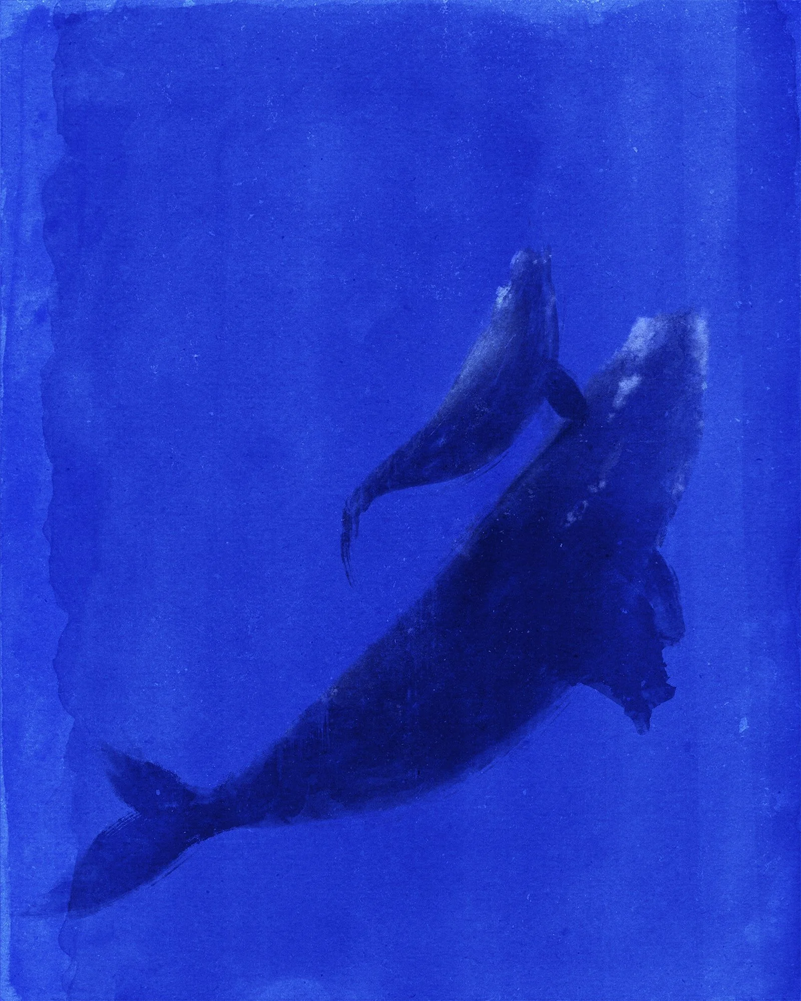 whales-min.jpg