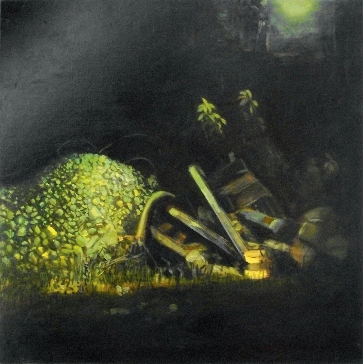 The importance of improving real landscape