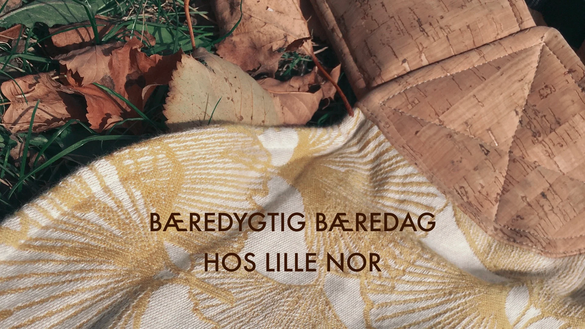 Bæredygtig Bæredag