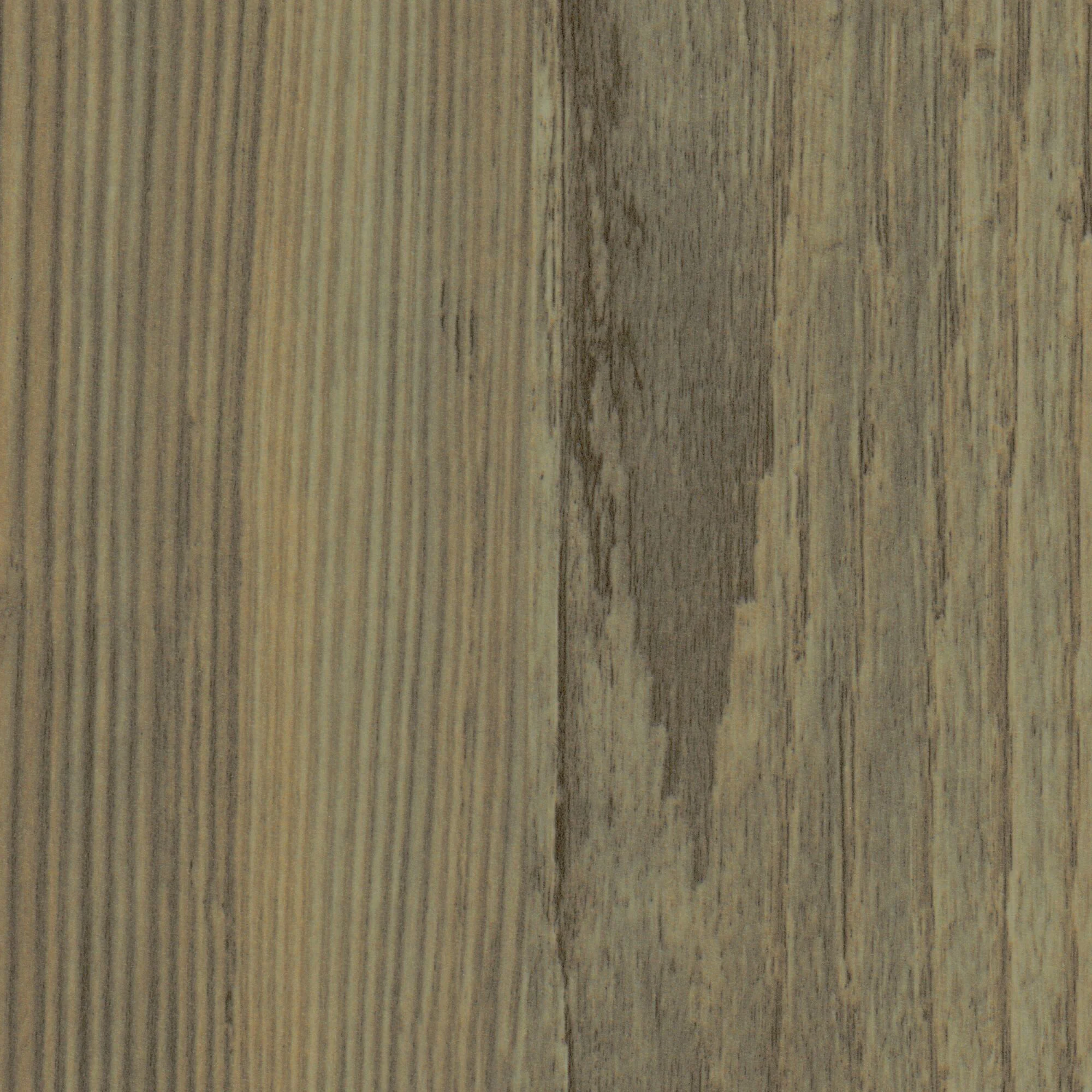 3144 Douglas Pine