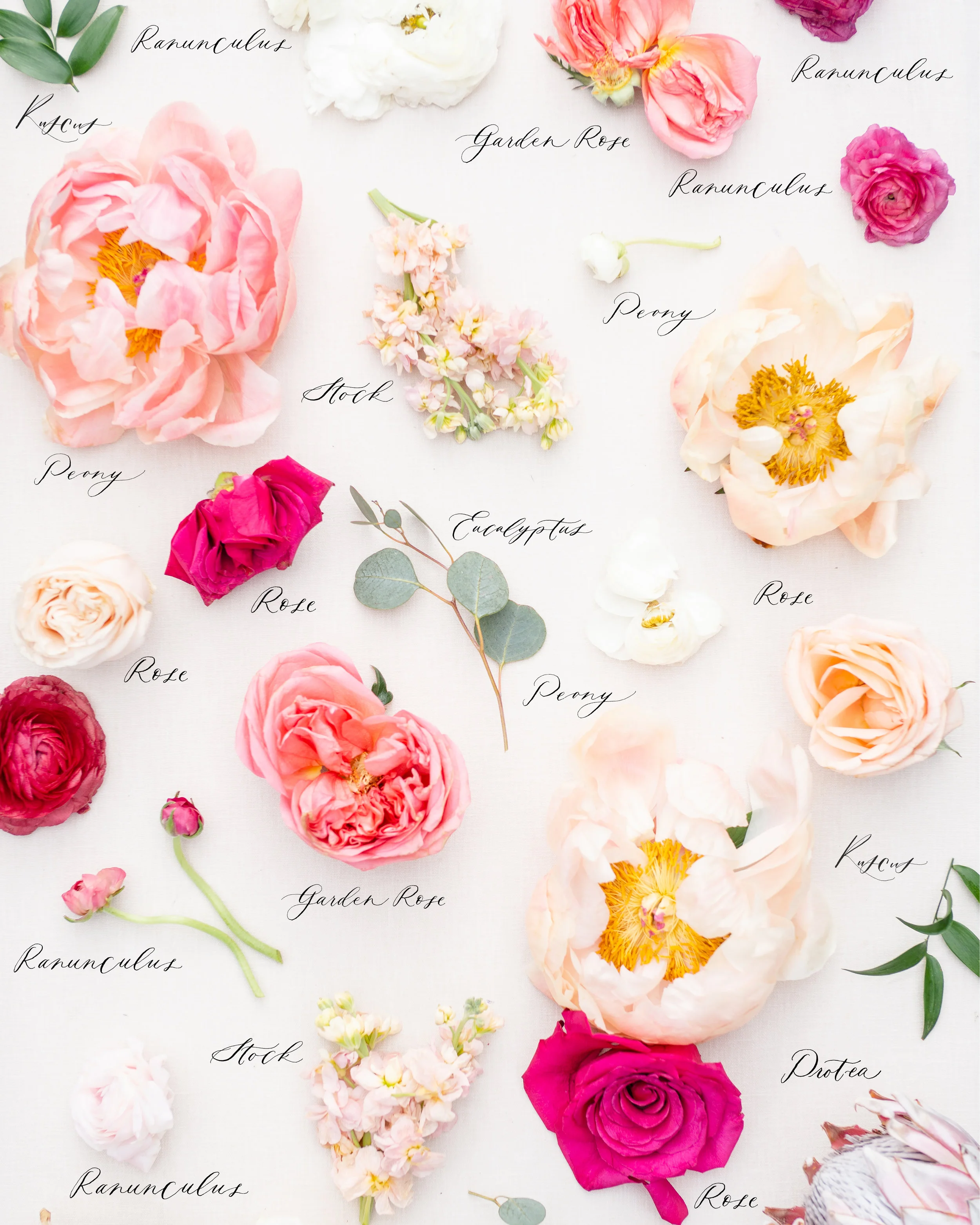 Image Courtesy of Jaimee Morse of Heirloom Bouquet