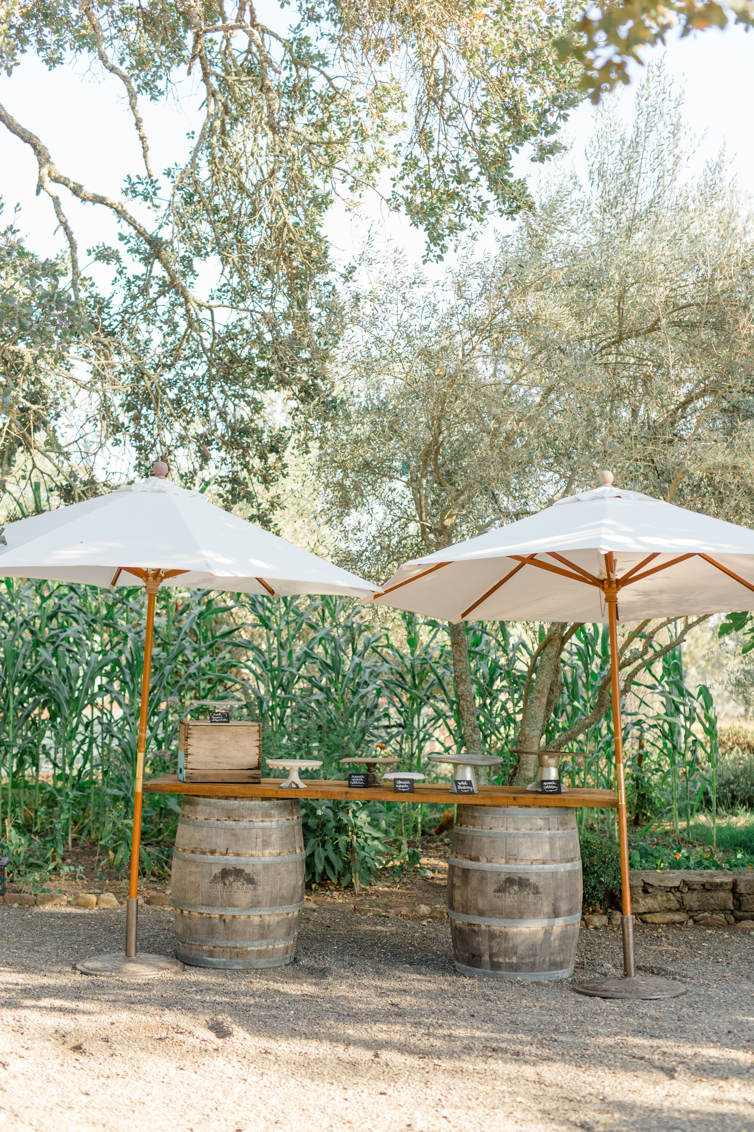 Ashley + Adams Sonoma California Wedding -1837.jpg