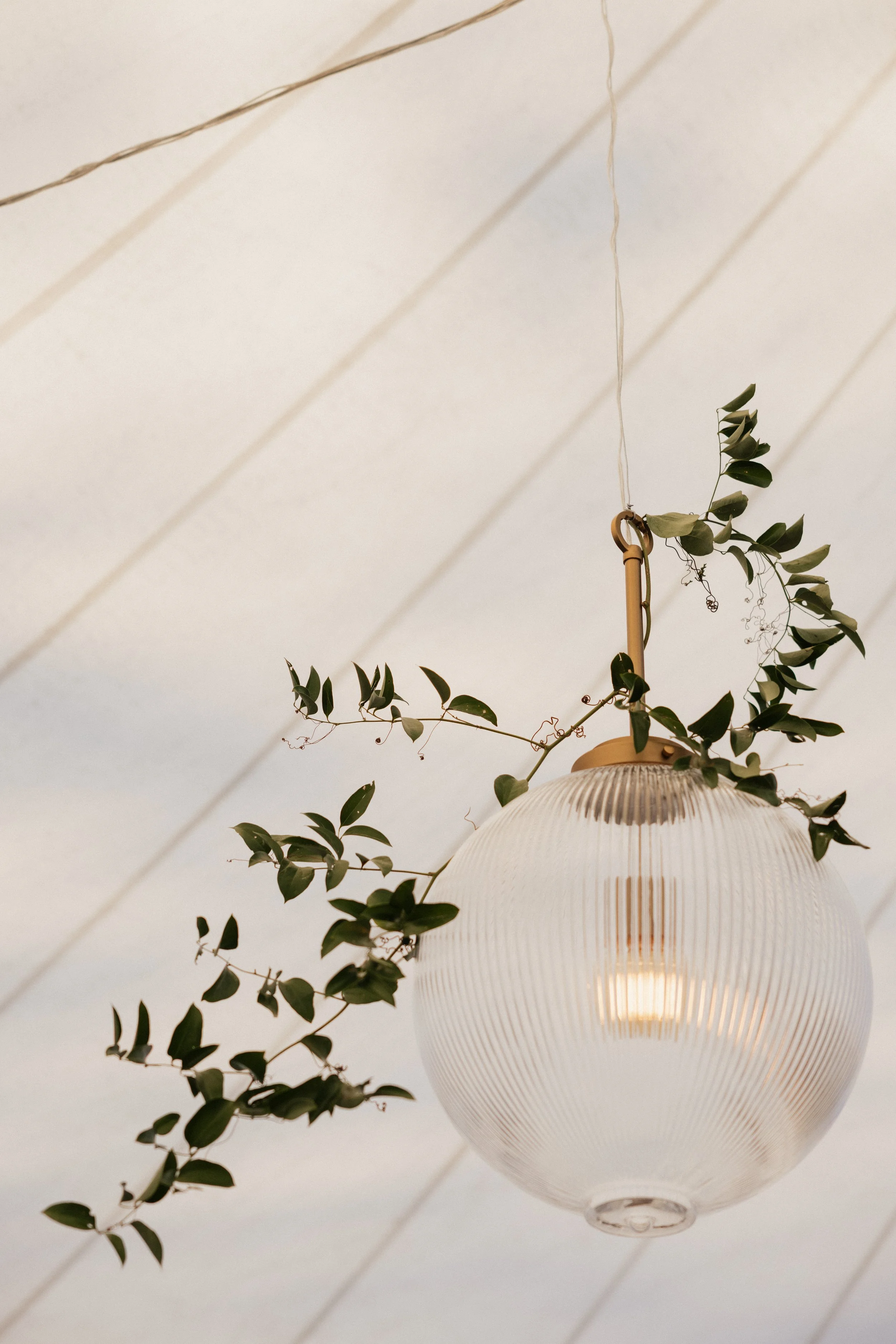 November Wedding - French's Point Maine - 14.jpg