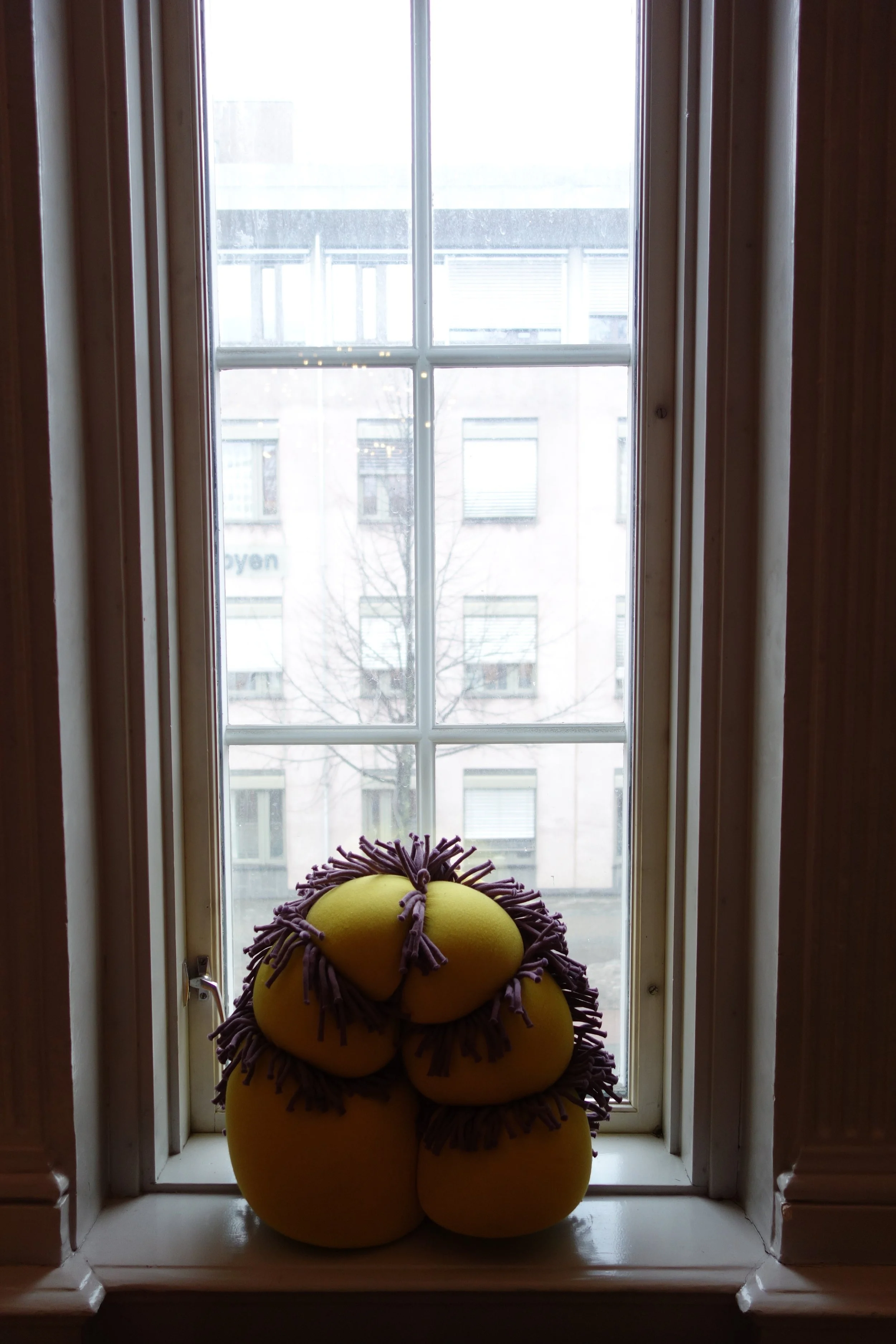 DSC05281.jpg