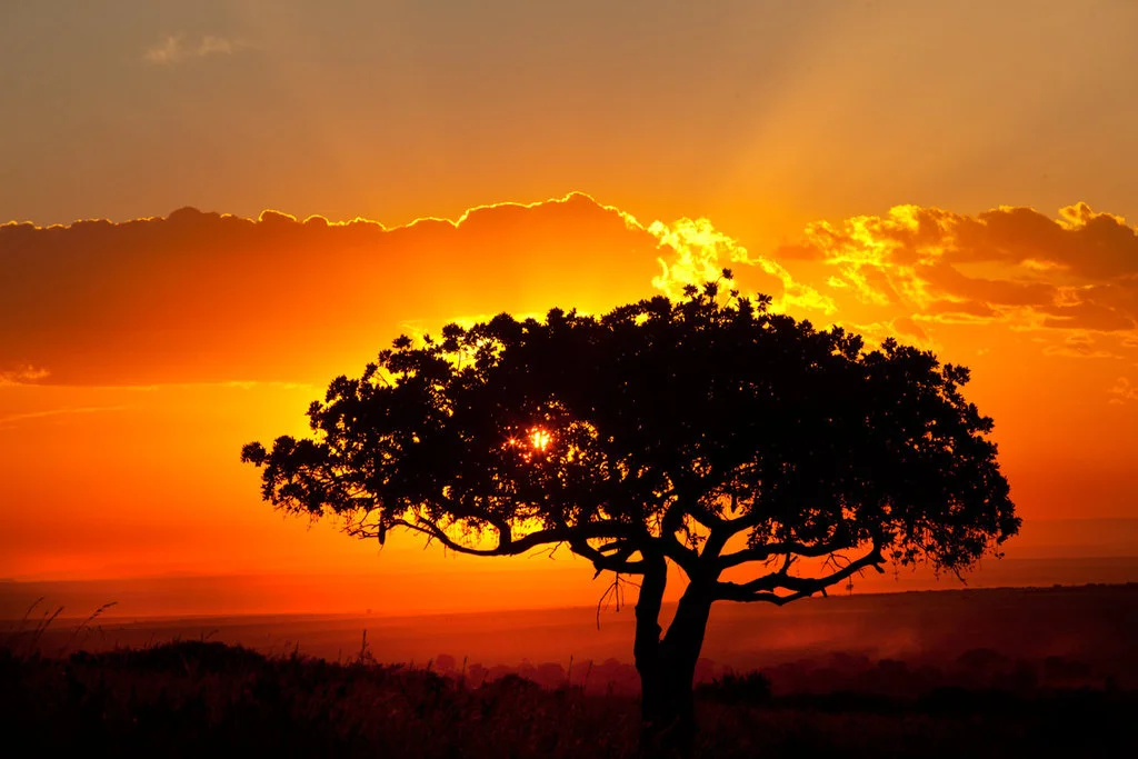 my_africa_47_by_catman_suha-d5d1g71.jpg