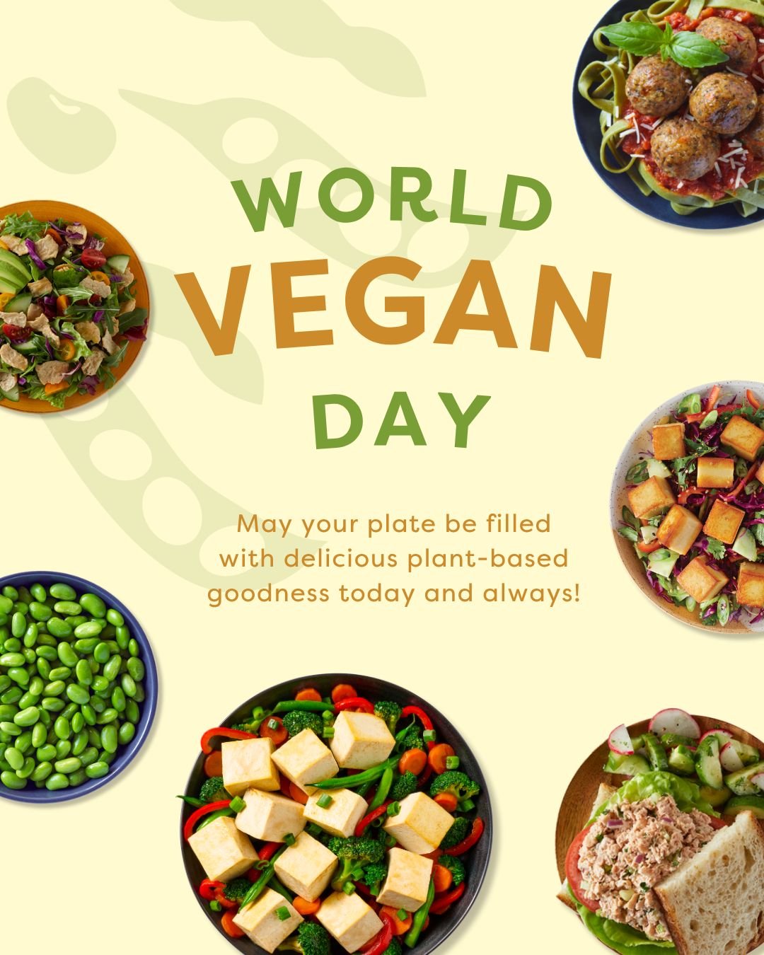 It's #WorldVeganDay! We hope you fill your plate with your favorite foods from Franklin Farms! 🥗

#vegan #vegetarian #plantbased #plantpower #franklinfarms #franklinfarmsfoods