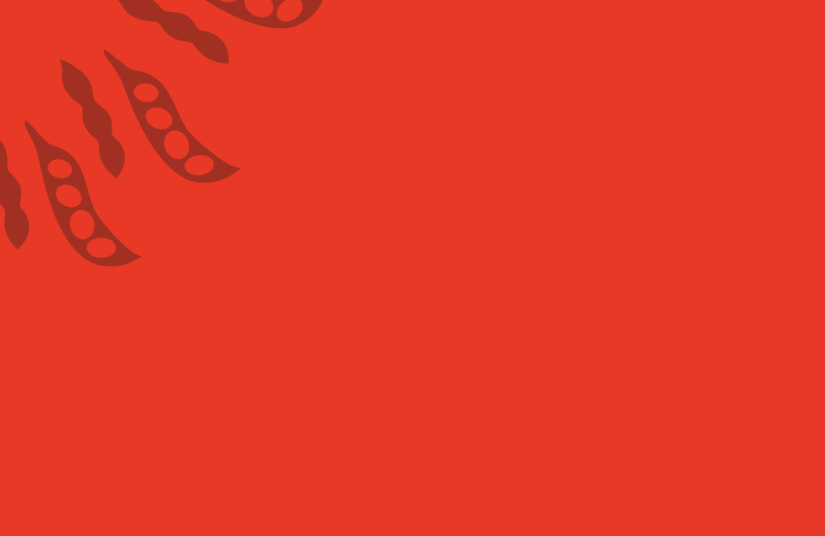 Seasoned Seitan Bkacground.png