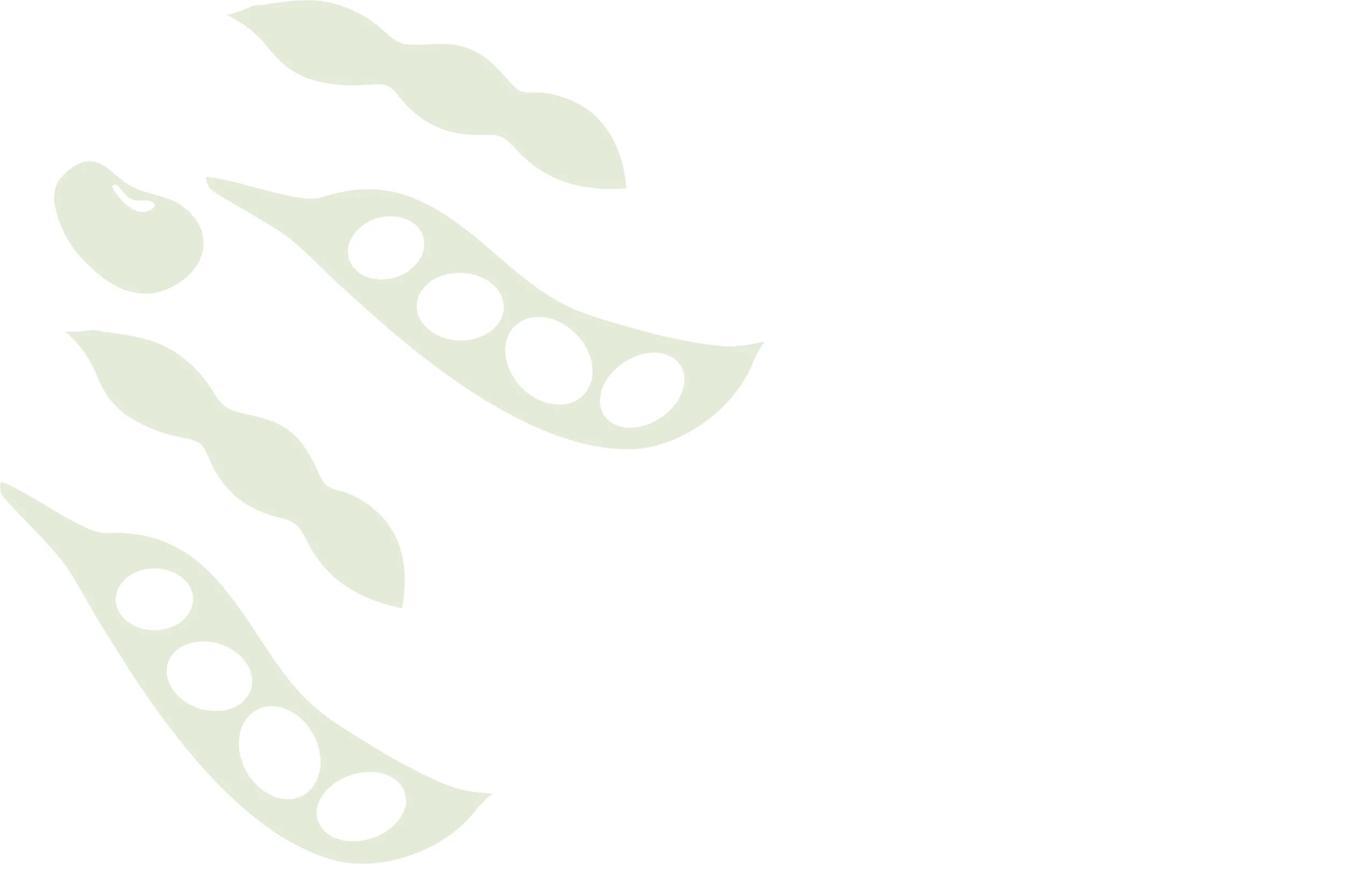 White with Soybean.jpg