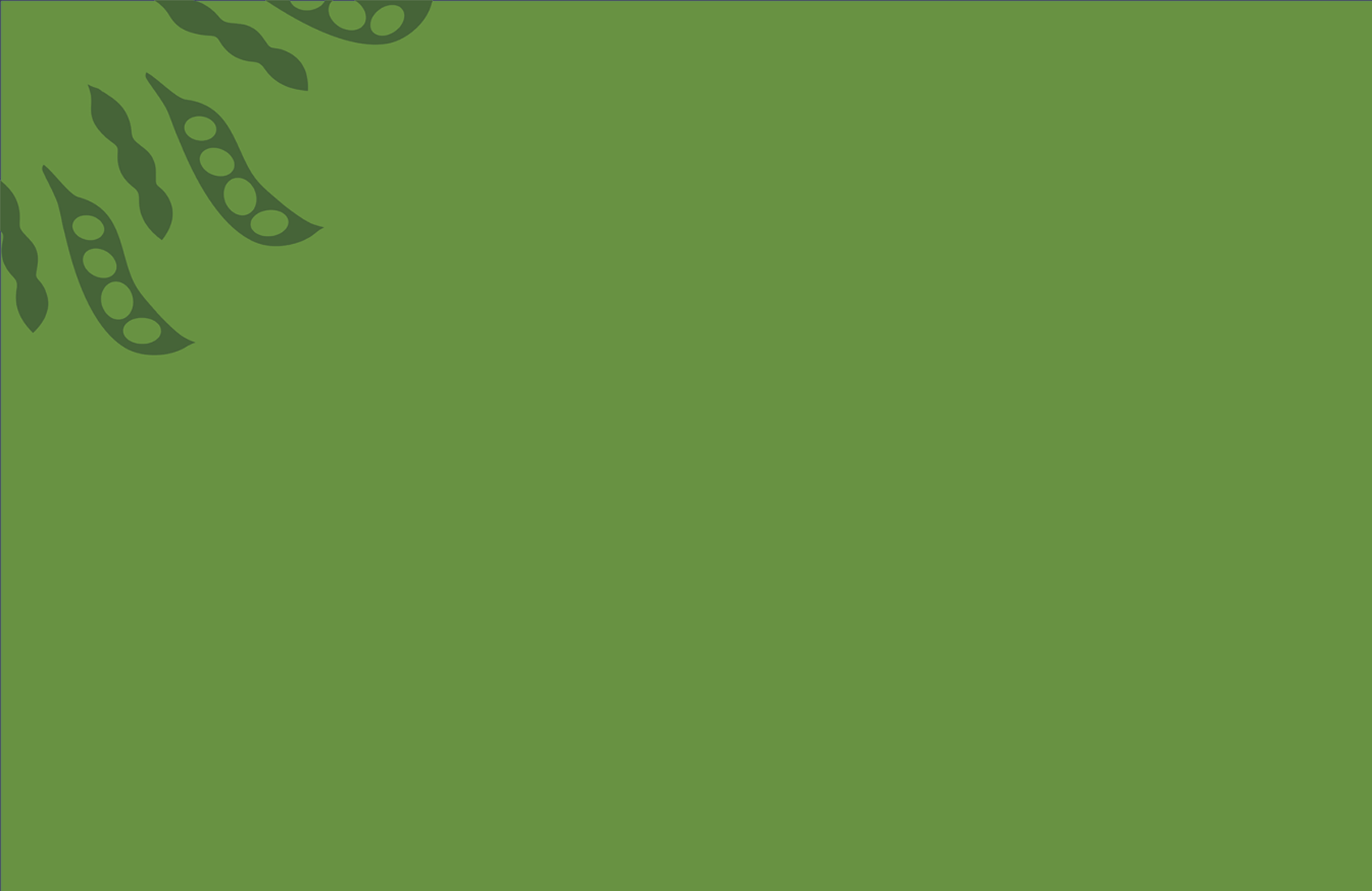 Pulled Meat Background.png