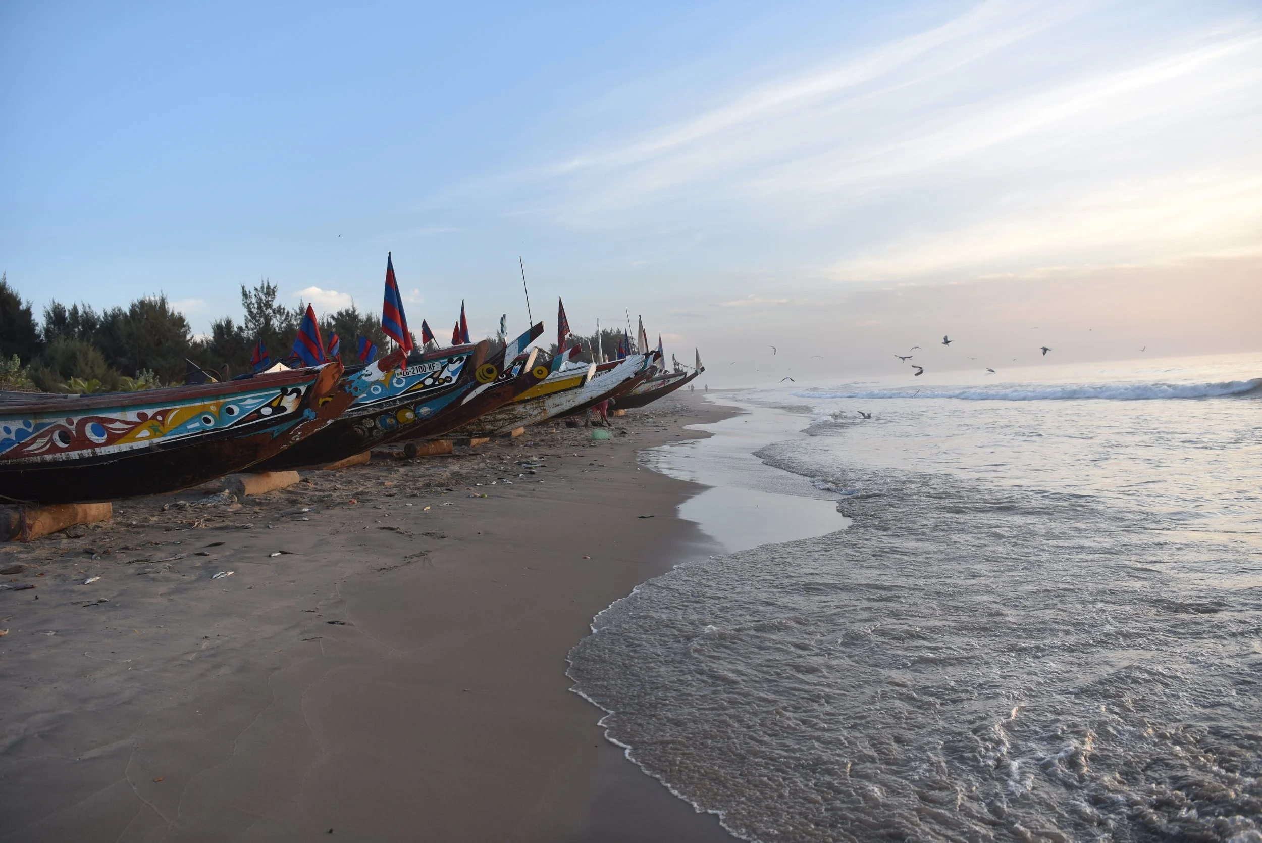 DSC_6856.jpg