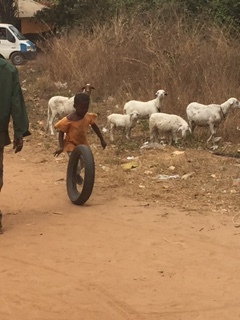 Playing kid in the village