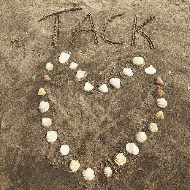Happy Valentines Day to you all! We wish you lots and lots of love! And thank you (tack!) to all guests who joined us season 19/20! We can&rsquo;t wait to welcome you back 20/21!
📷: @kathanasetsyoga 🙏🏽
.
.
.
.
#heart #love #valentinesday2020 abene