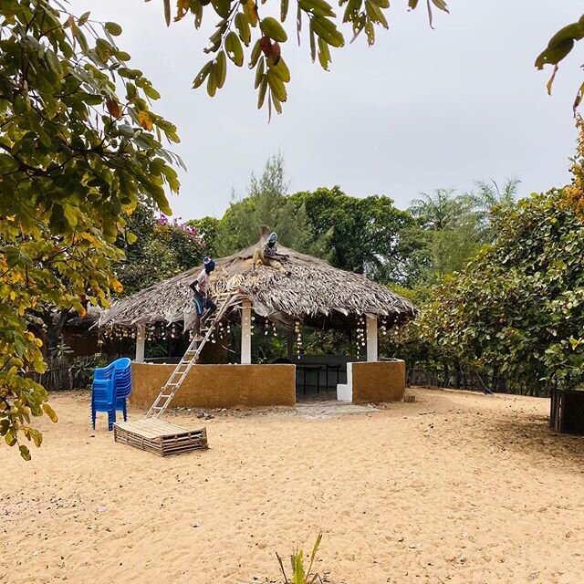 Work in progress🌴j a l I y a c a m p 💪 -
-
-
#africa #kora #workout #beach #yoga #sunset #casamance