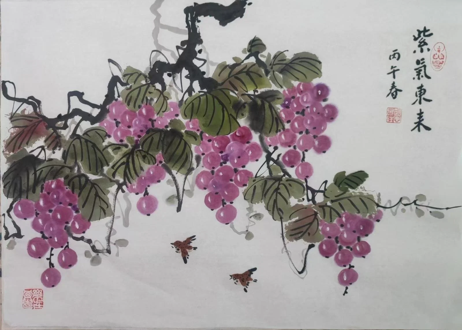 b2ff5fc2-7b75-49cc-b983-e5d68c76cb7a.jpg