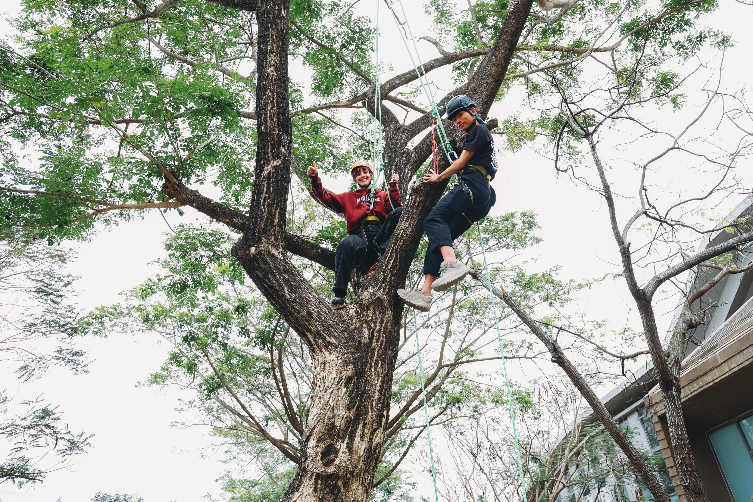 𝐓𝐫𝐚𝐯𝐞𝐥 𝐀𝐫𝐨𝐮𝐧𝐝 𝐅𝐨𝐫𝐦𝐨𝐬𝐚