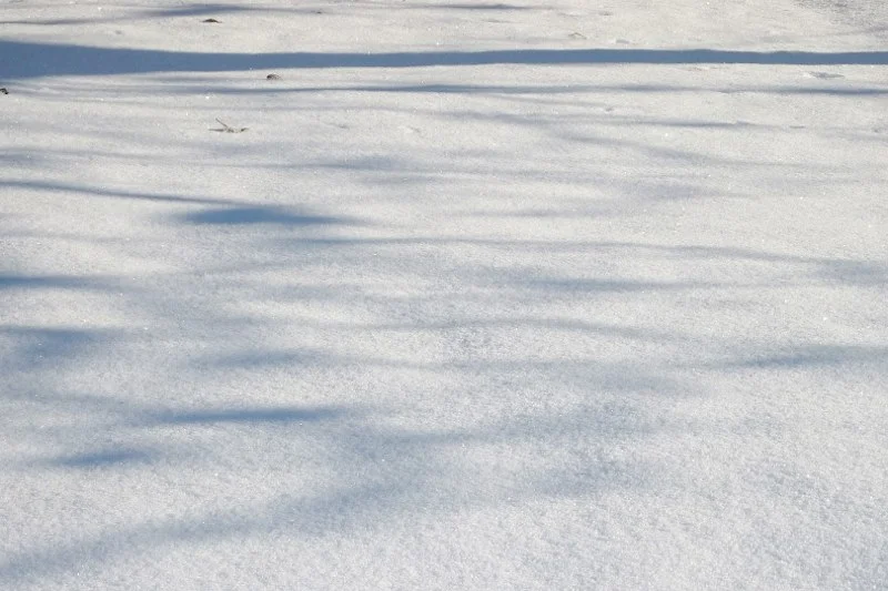 Recoverd_jpg_file(2237)b (800x533).jpg