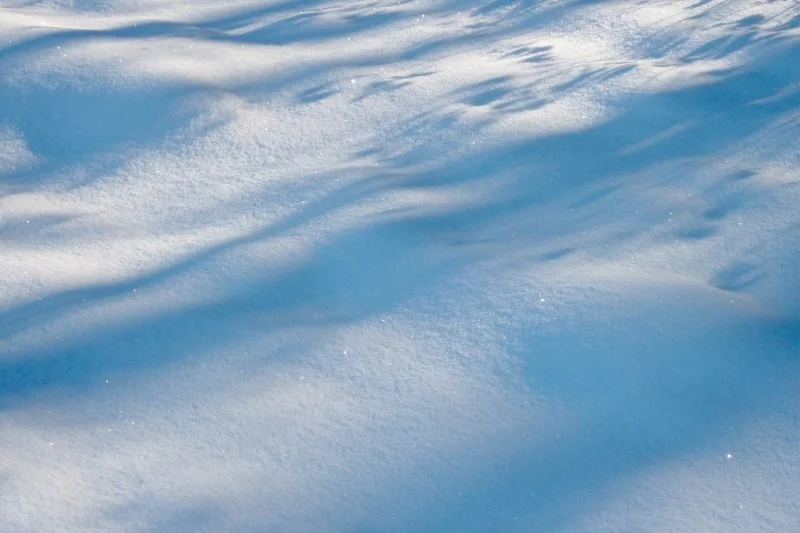 Recoverd_jpg_file(2324)b (800x533).jpg