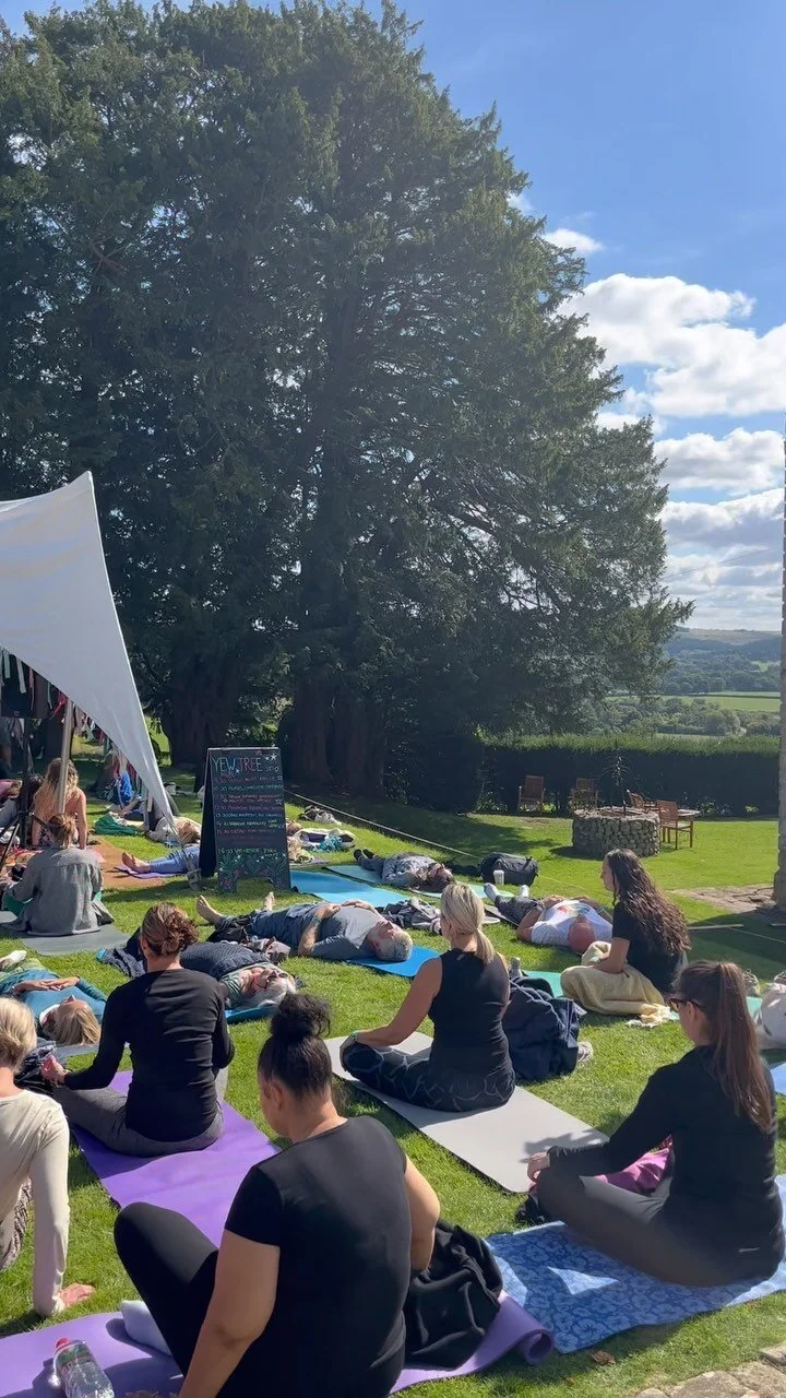 Book Now UK Yoga and Wellness Festival VERVE Wellness Festival