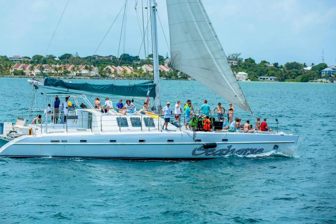 Catamarans and Booze Cruises