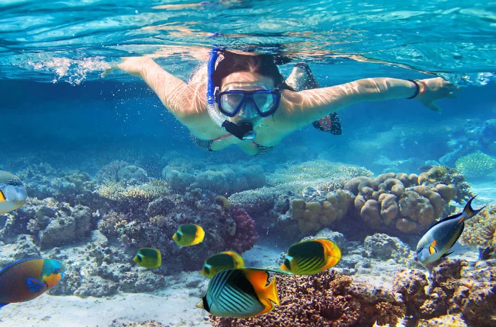 Snorkeling