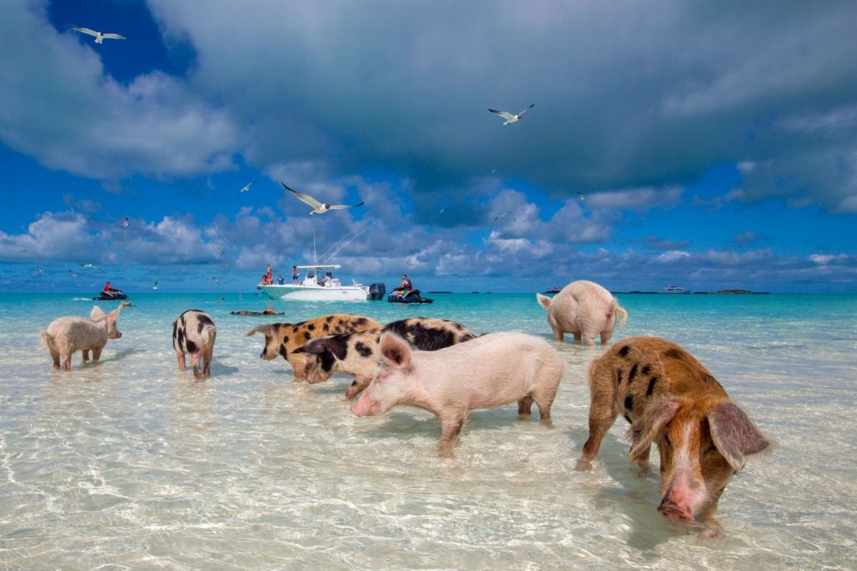 Out Islands