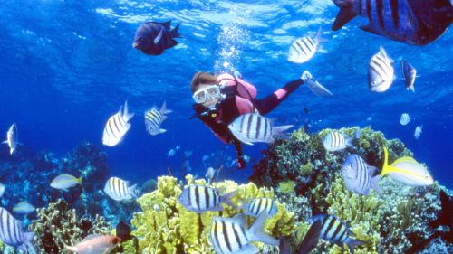 Scuba