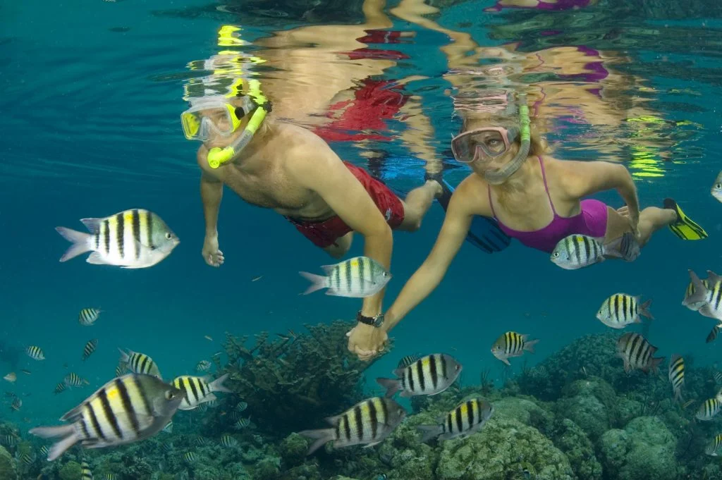 Snorkeling