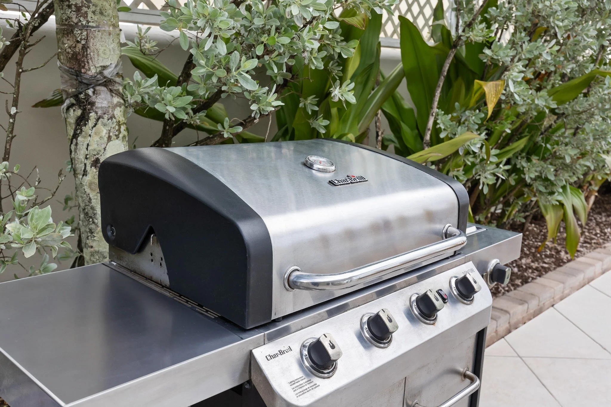 Outdoor Barbecue