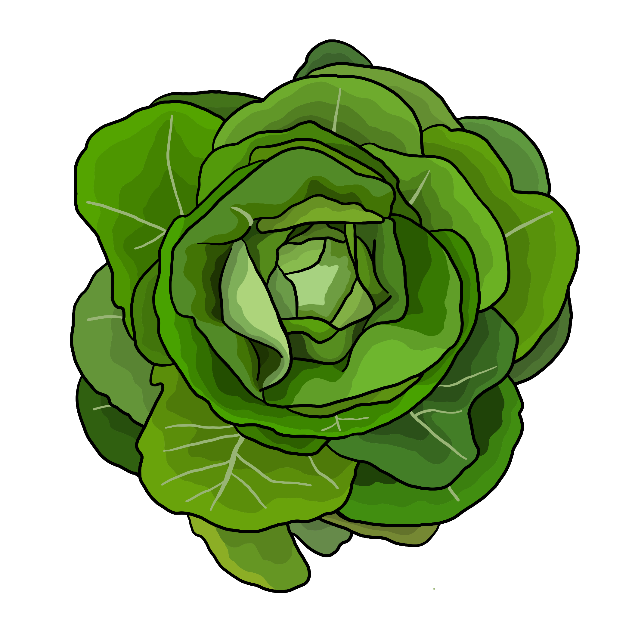 Produce Descriptions Blue Hill Co Op