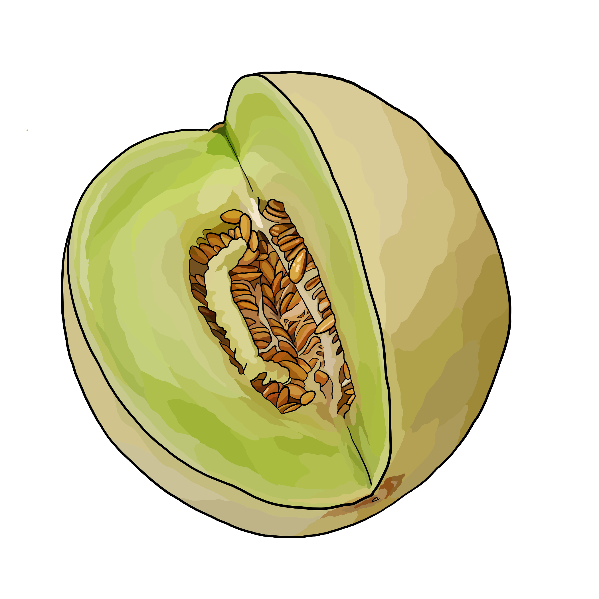 Produce Descriptions Blue Hill Co Op