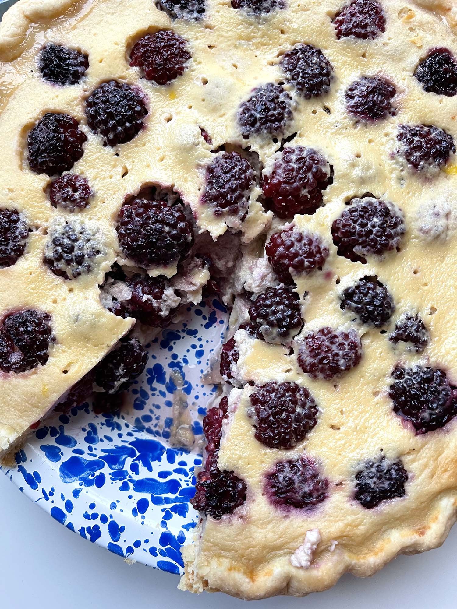 Blackberry Custard Pie — Blue Hill Co-op