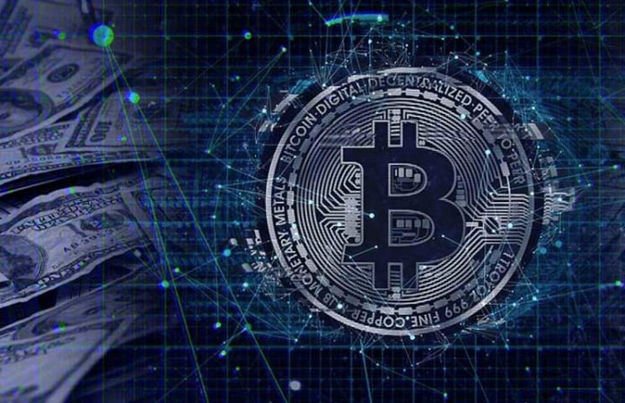 Bitcoin-Classification-as-a-Commodity-or-a-Stock-Top-Crypto-Assets-Type-696x449.jpg
