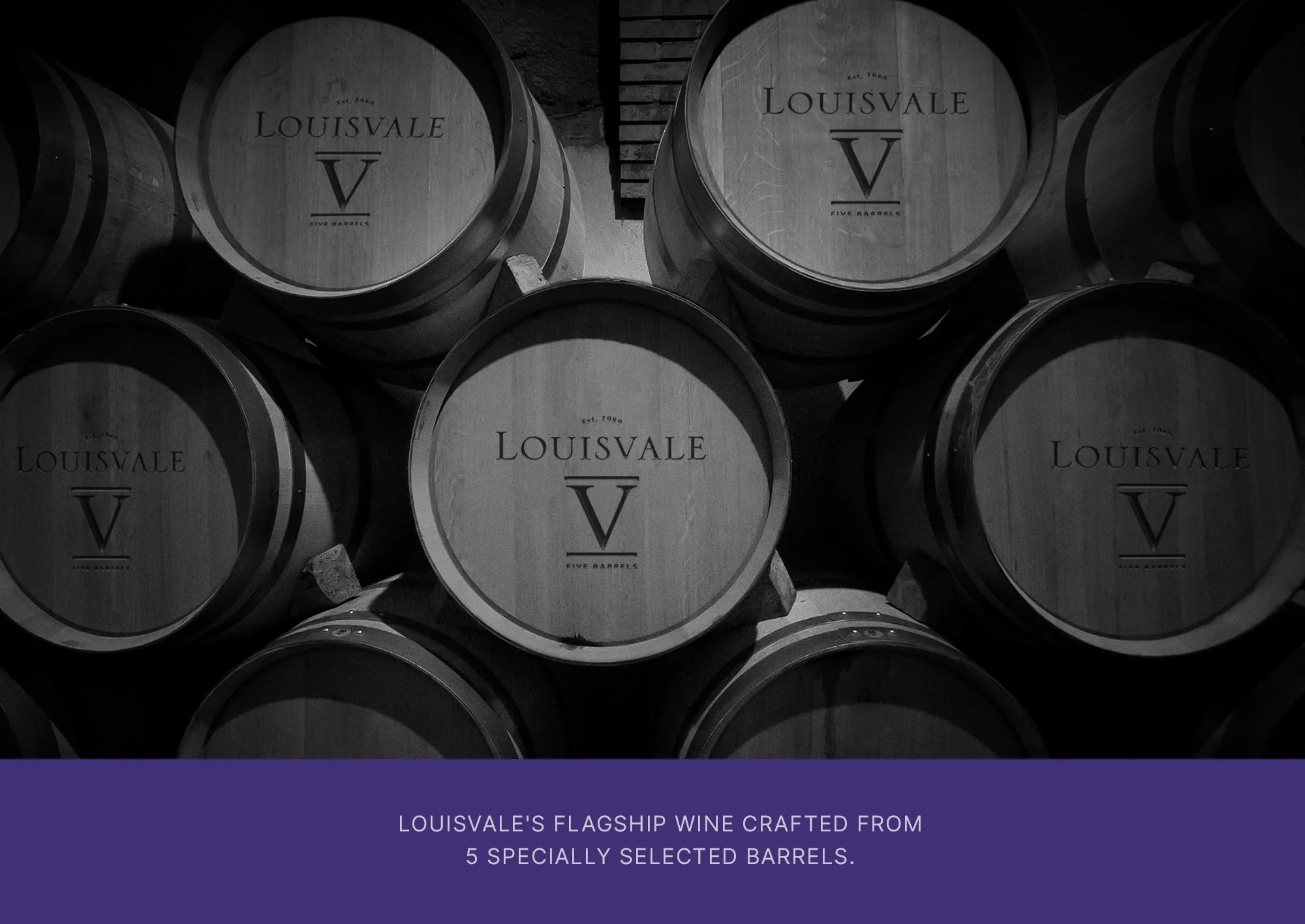 Loiusvale-V-lead page.jpg