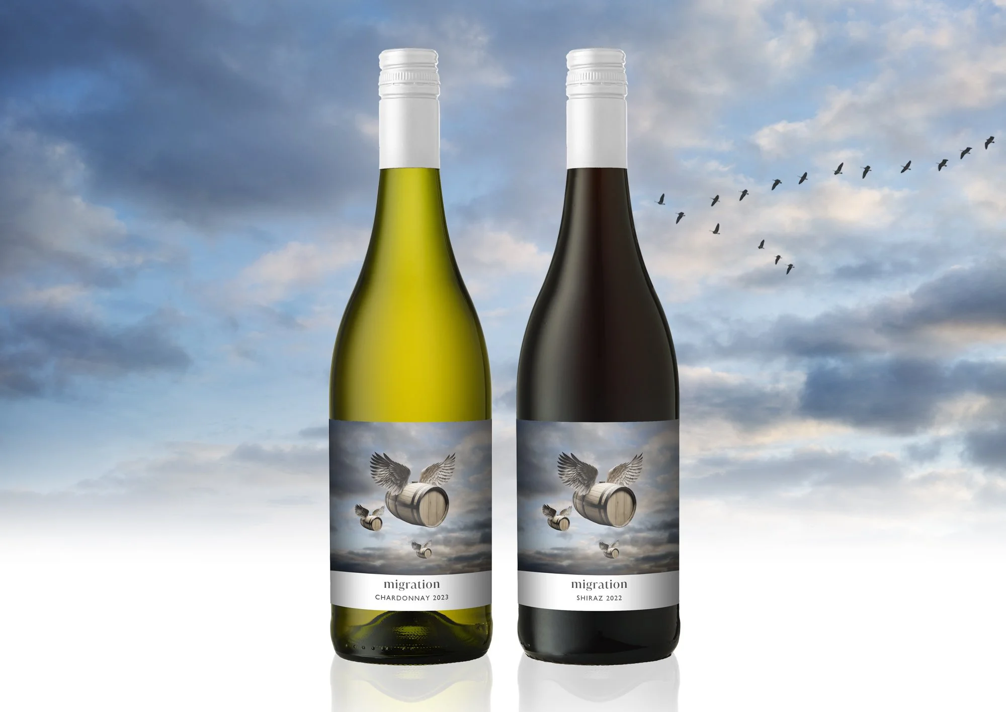 Migration-packshot.jpg