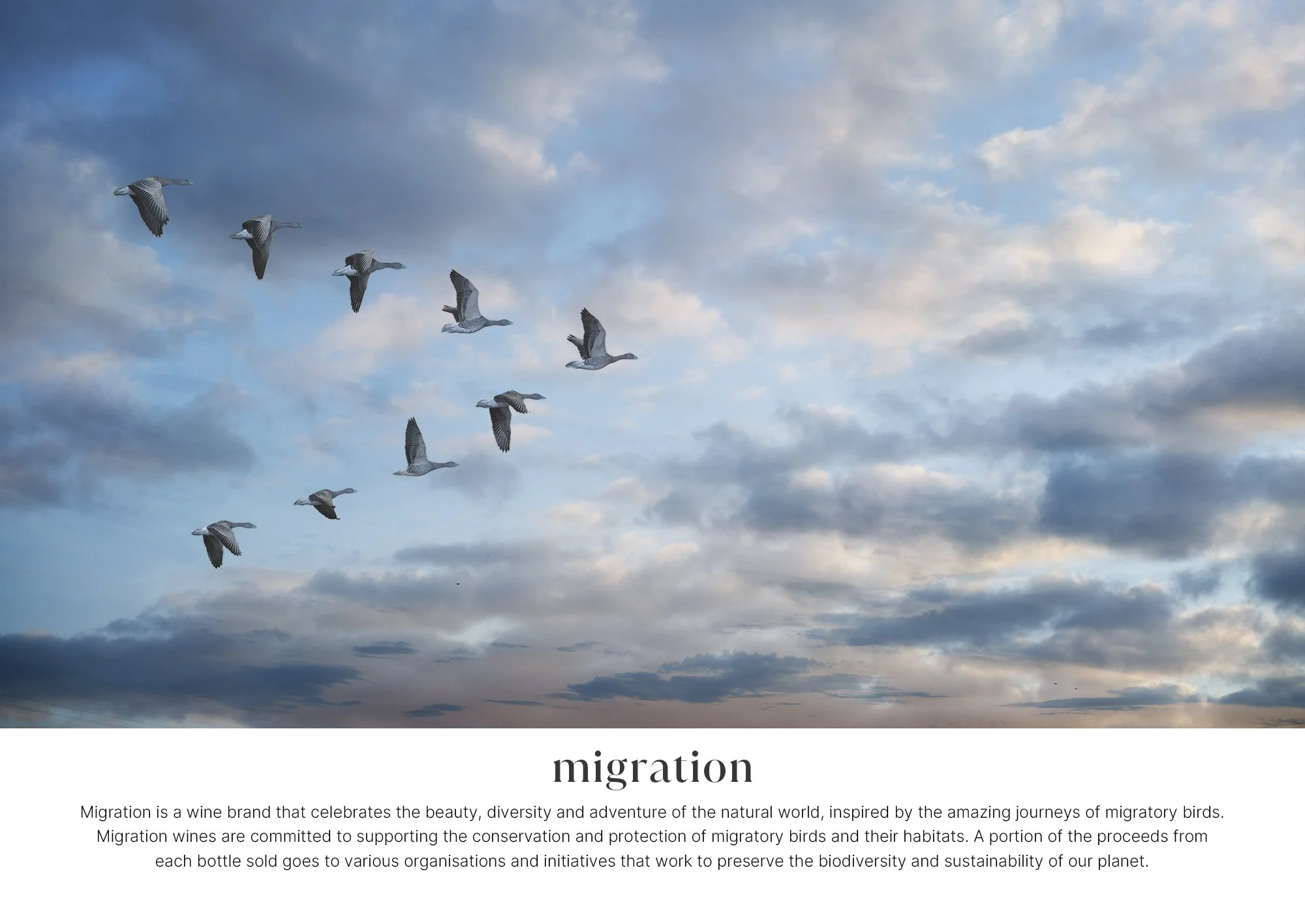 Migration-lead page.jpg