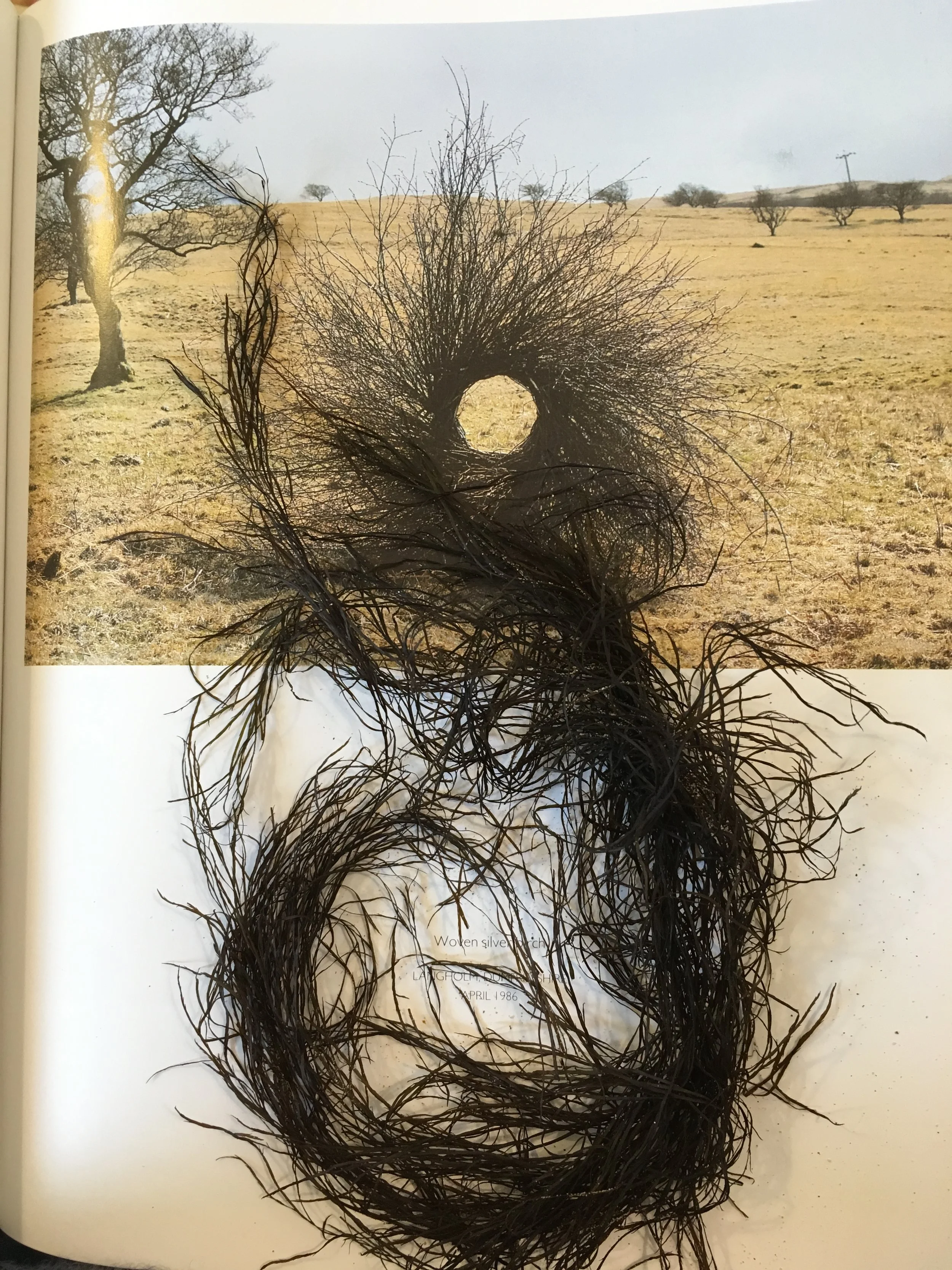 Pleasure in beauty and balance