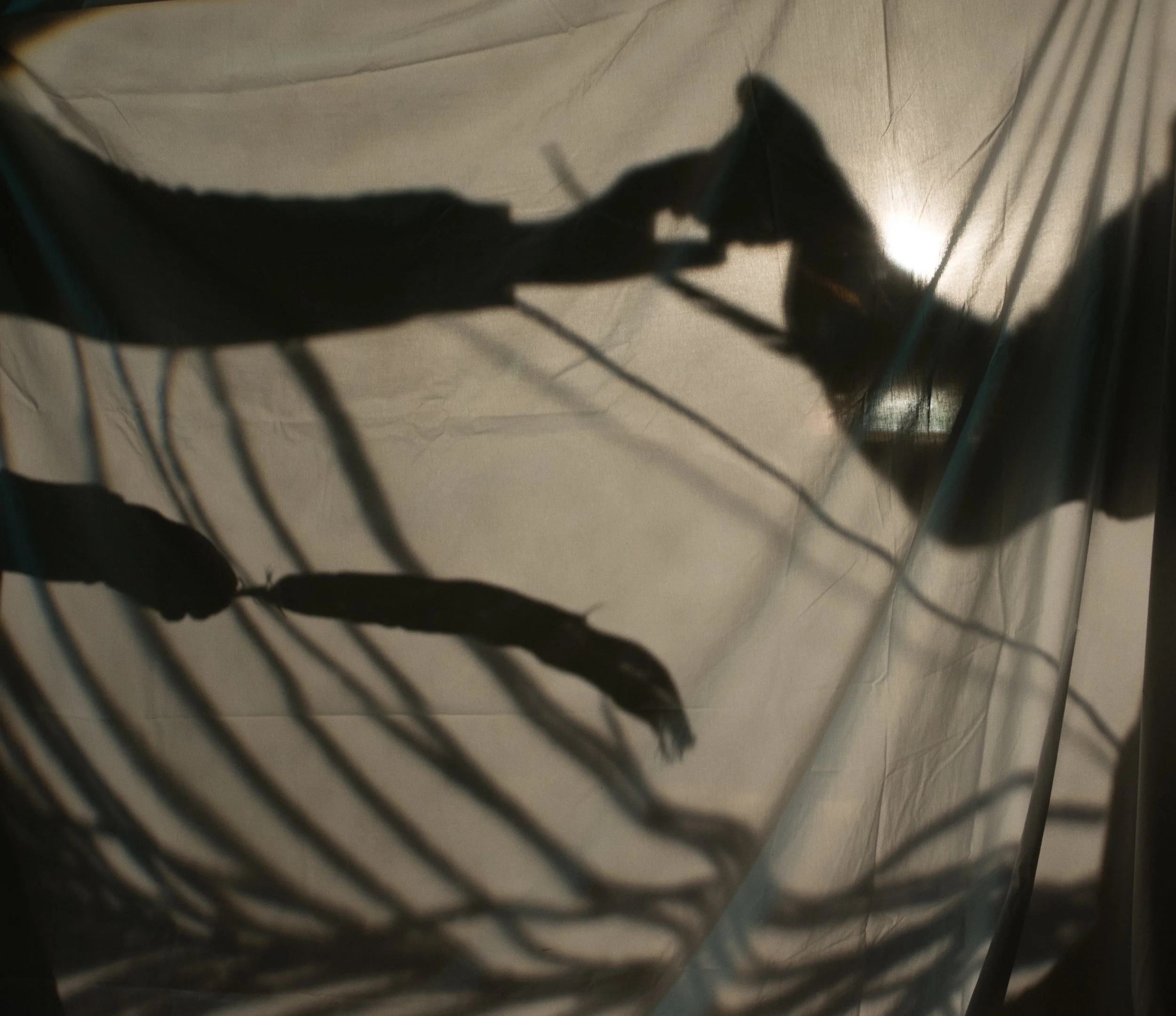 An atmosphere of profound equality