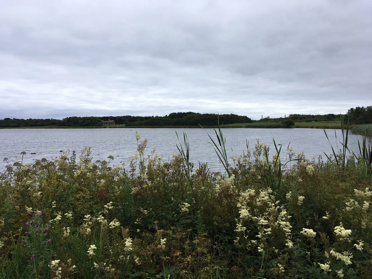 Curiosity Cafe on the move