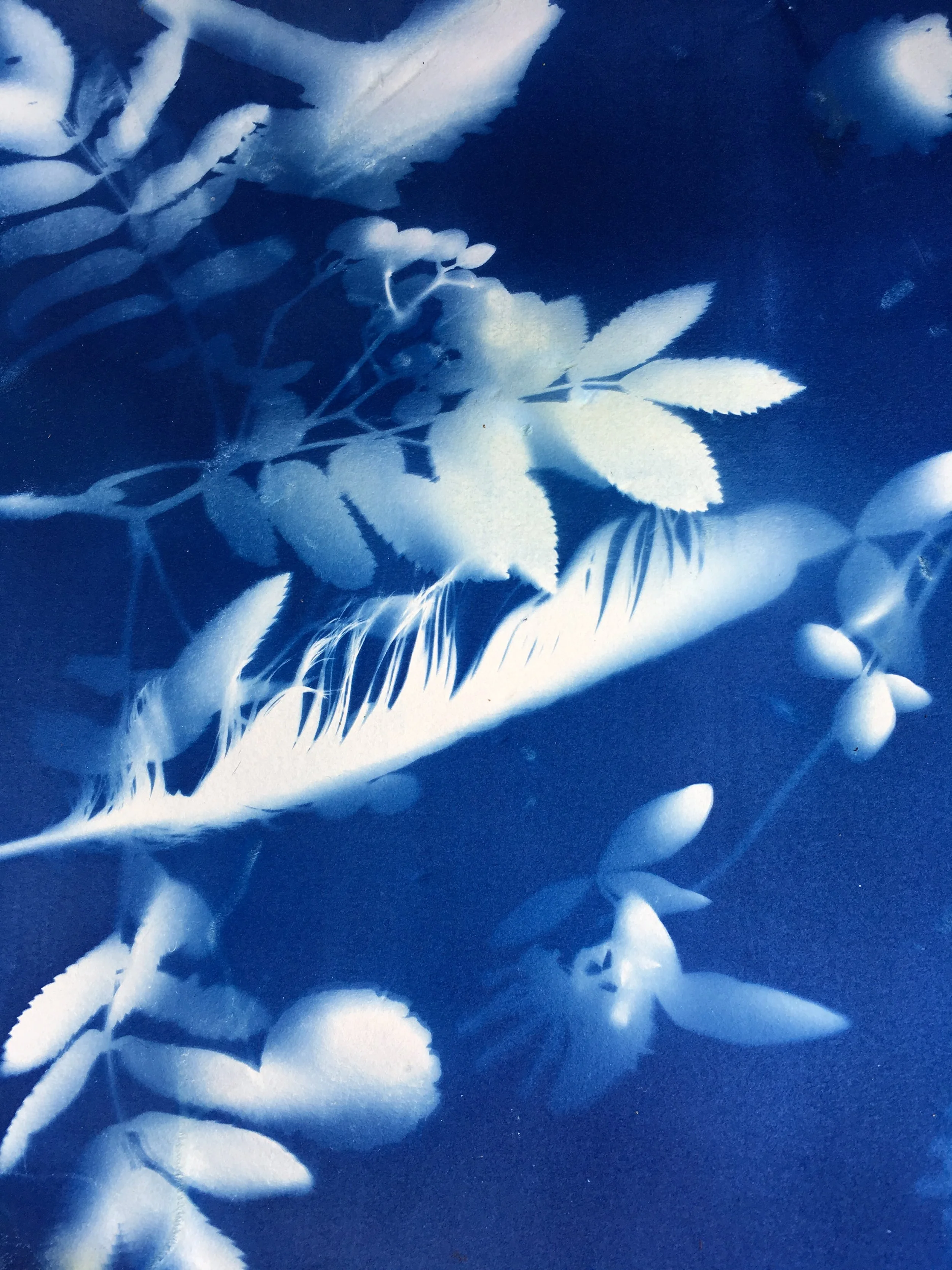 Reflections on a “perfect day”