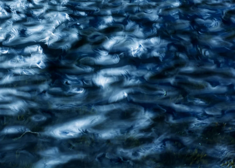 8-98110-15_IPA_solstice_light_on_water_1_.jpg