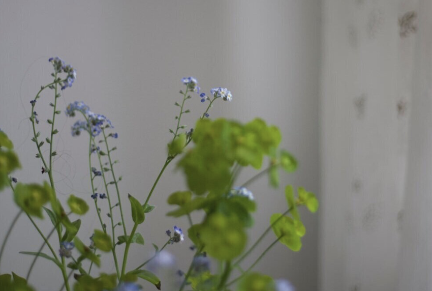  The Covid Quilt of Connections - A community  online project 