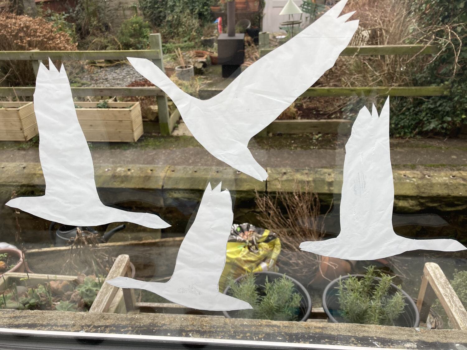 window goose.JPG