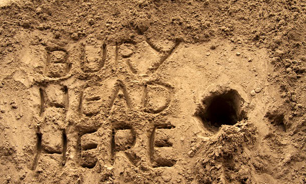 head-here.jpg