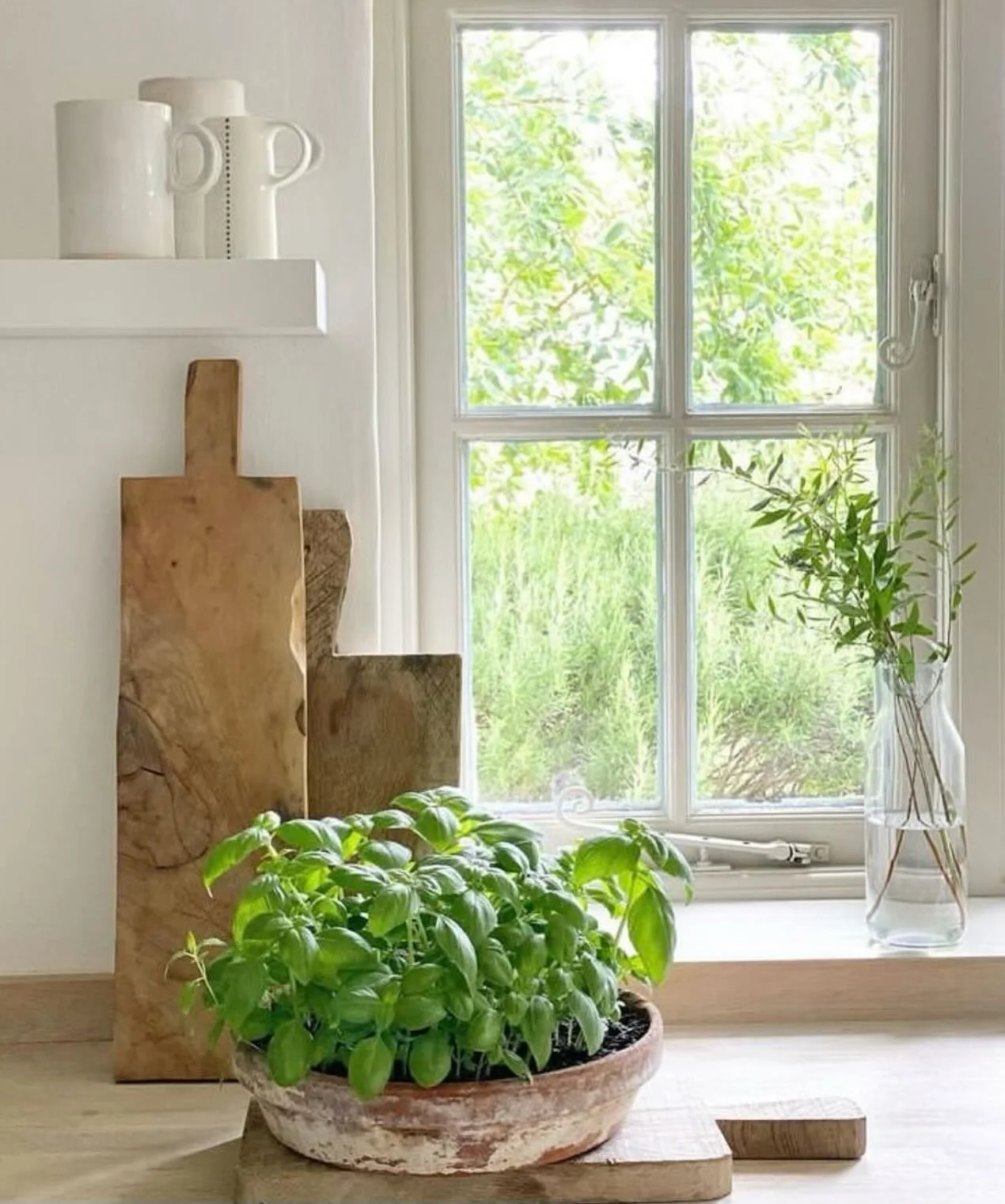 Tv&aring; av de mest v&auml;lbepr&ouml;vade knepen vid homestyling av k&ouml;k - f&auml;rska &ouml;rter i kruka och tr&auml;sk&auml;rbr&auml;da 🪴✔️🔪✔️💫

#homestyling #homestylingtips #homestylingkurs #certifieradhomestylist #k&ouml;k 
Bild: Pinter