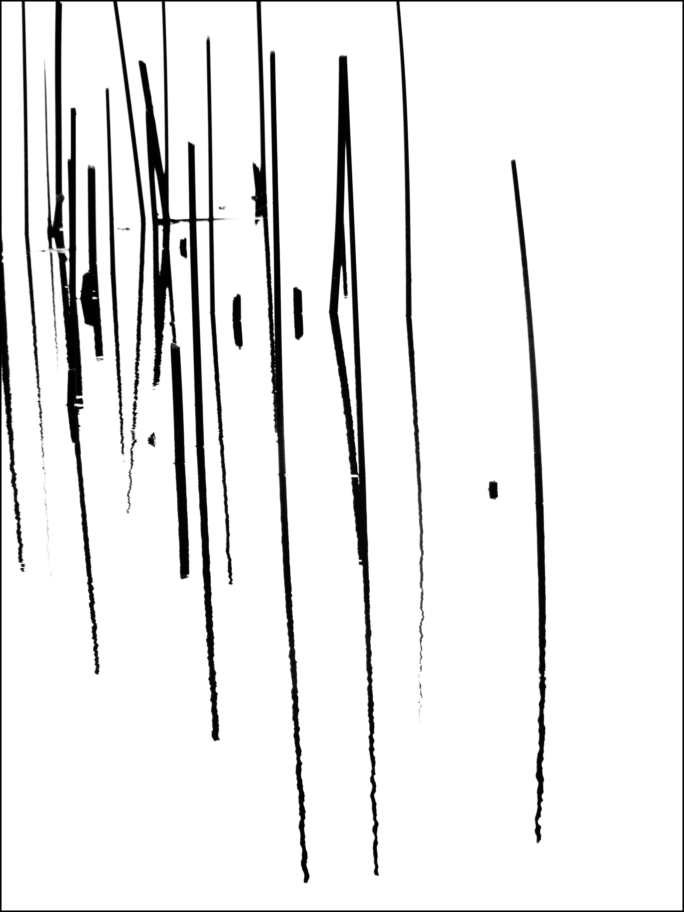 Reeds