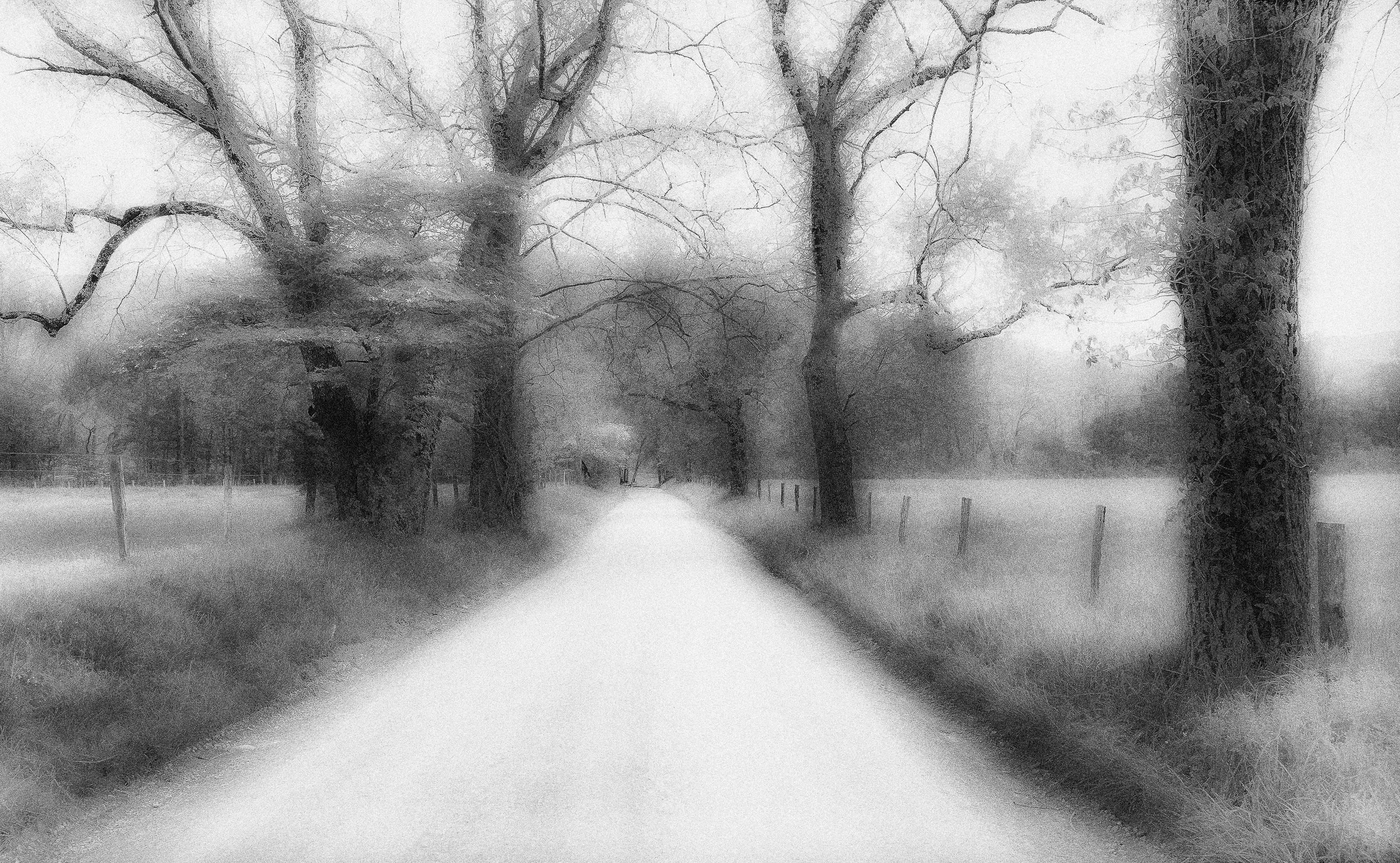 Cade's Cove, TN