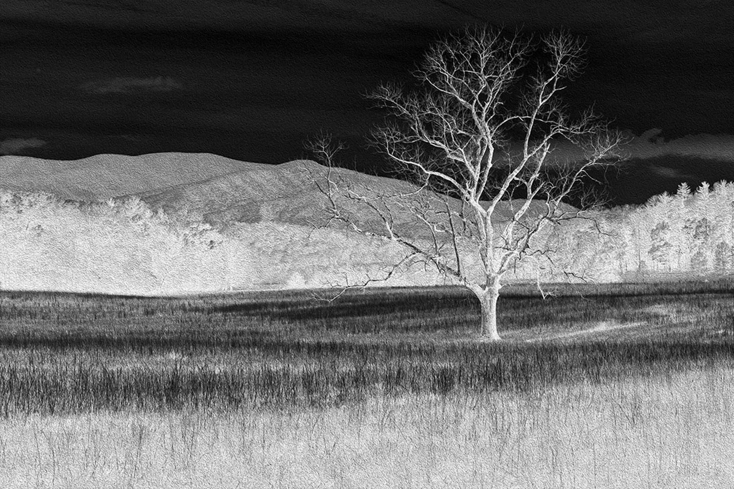 Cades Cove, TN