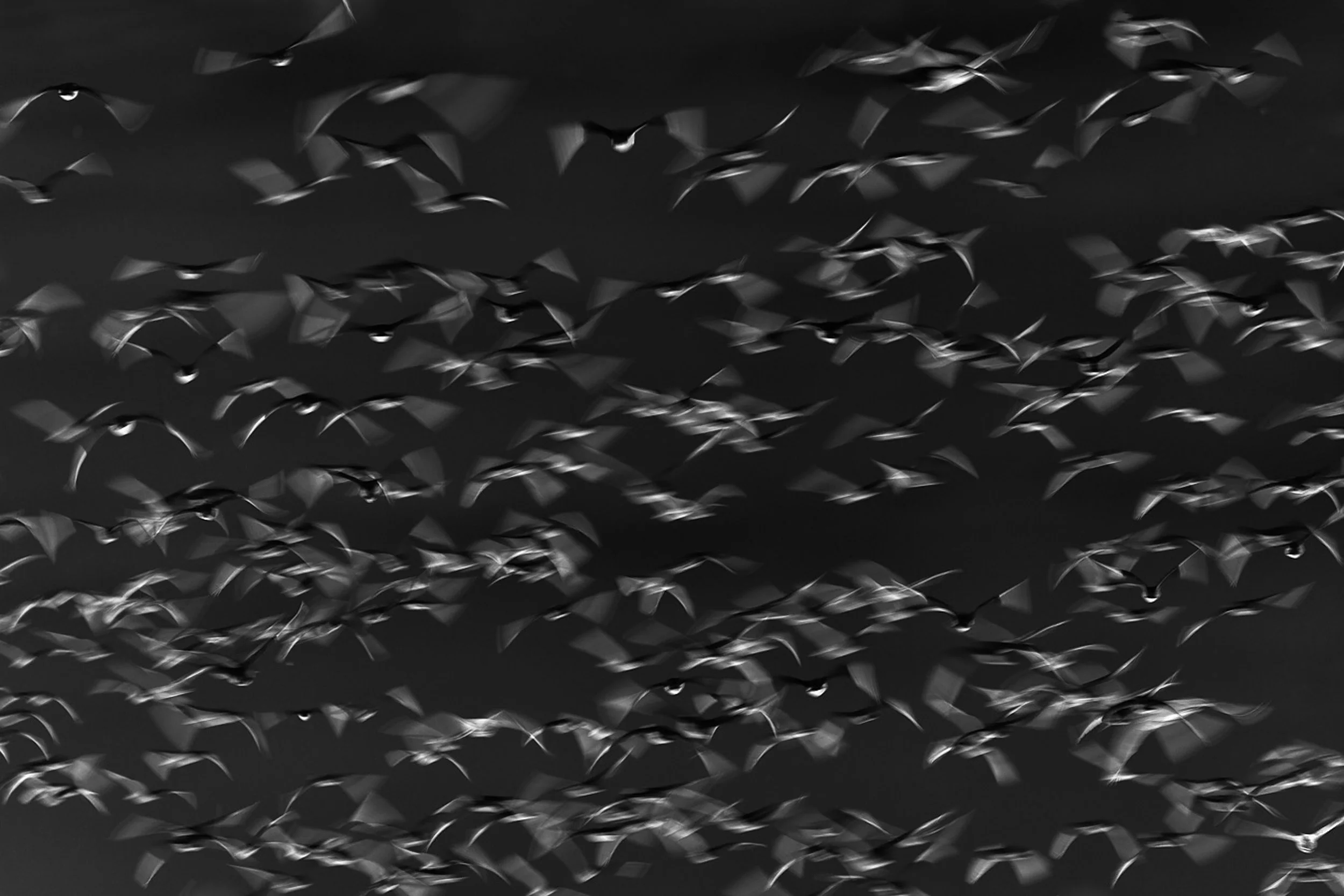 Blurs#7.jpg