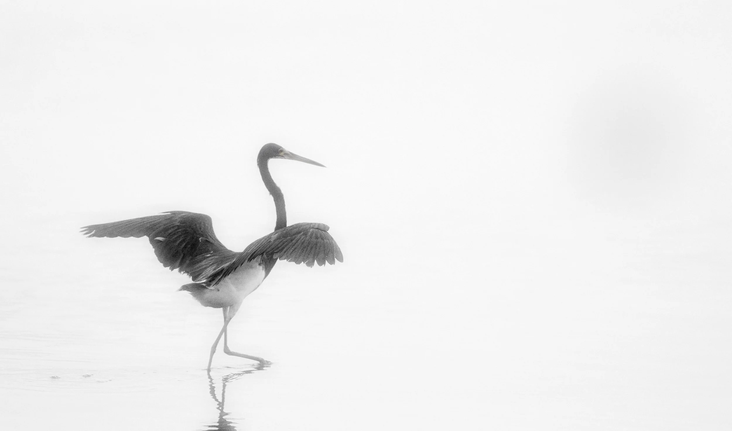_MG_0716.jpg